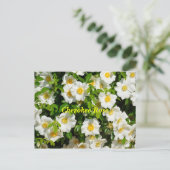 Cherokee Roos Briefkaart (Staand voorkant)