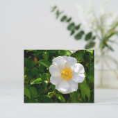 Cherokee Roos Flower  Briefkaart (Staand voorkant)