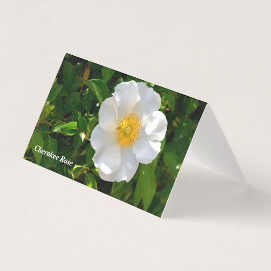 Cherokee Roos Flower vouding card Kaart (Voorkant)