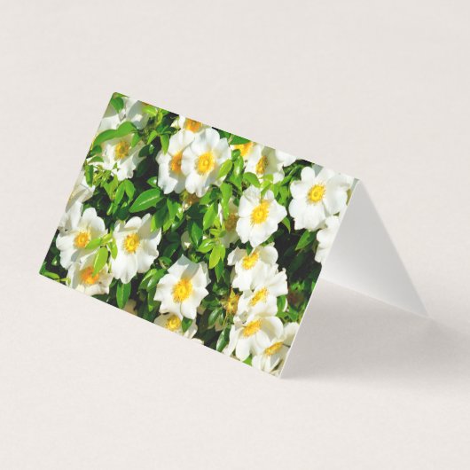 Cherokee Roos Flower vouding card Kaart (Achterkant)