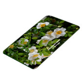 Cherokee Roos Magneet (Linkerzijde)