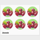 CHERRIA RONDE STICKER (Vel)