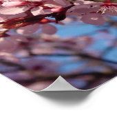 Cherries Jubilee (1) Poster (Hoek)