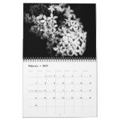 Cherries Kalender (Feb 2027)