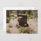 Cherry, Arizona Briefkaart (Voorkant / Achterkant)