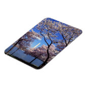 Cherry-bloesem in Washington DC Magneet (Linkerzijde)