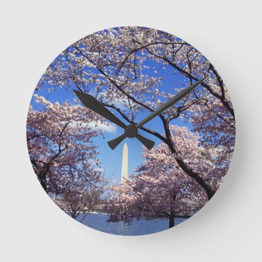 Cherry-bloesem in Washington DC Ronde Klok (Voorkant)