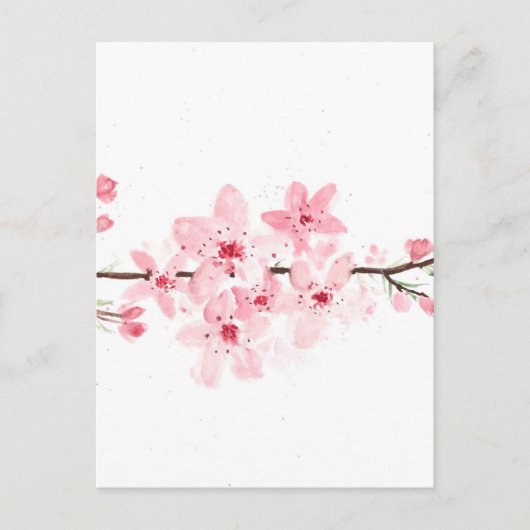 Cherry bloesems briefkaart (Voorkant)