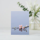 Cherry-bloesems op water briefkaart (Staand voorkant)