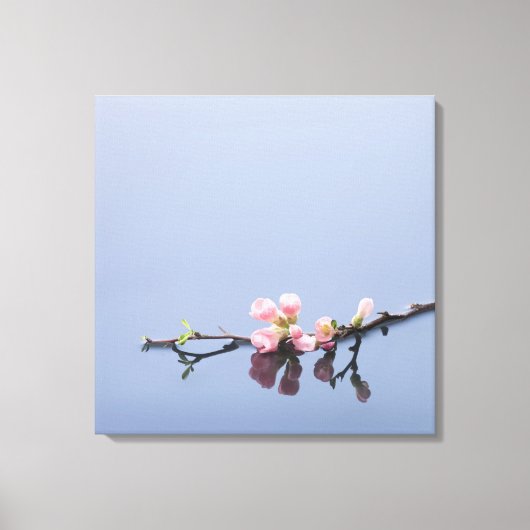 Cherry-bloesems op water canvas afdruk (Voorkant)