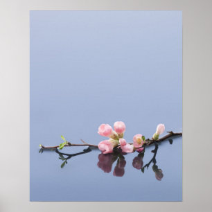 Cherry-bloesems op water poster