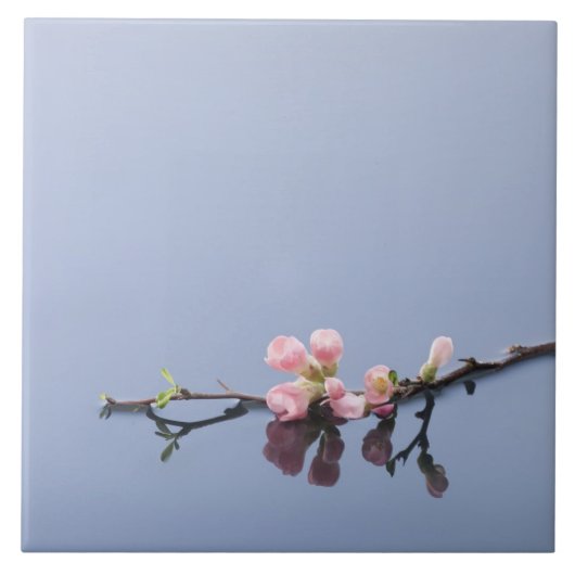 Cherry-bloesems op water tegeltje (Voorkant)