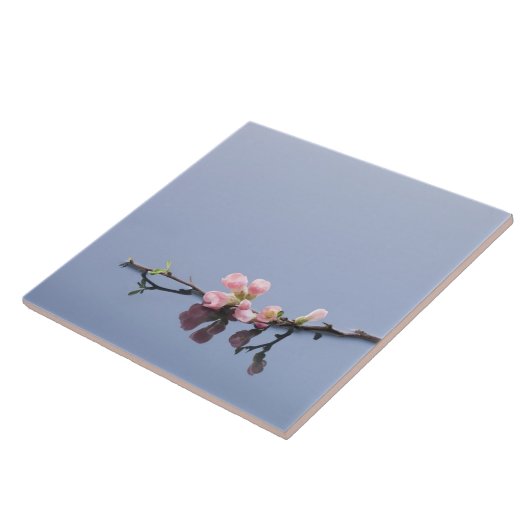 Cherry-bloesems op water tegeltje (Zijkant)