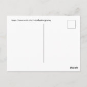 Cherry-bloesems. Washington, DC Briefkaart (Achterkant)