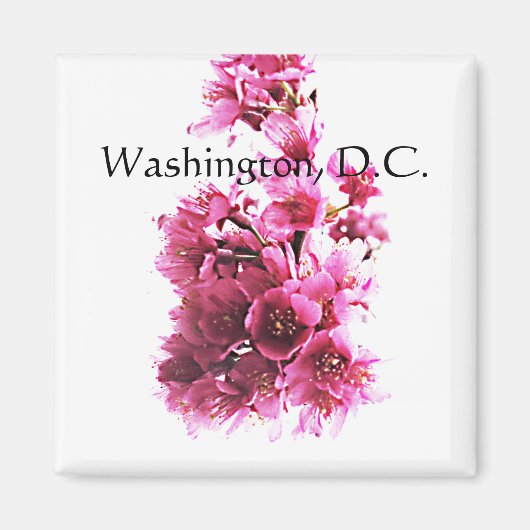 Cherry-bloesems. Washington, DC Magneet (Voorkant)