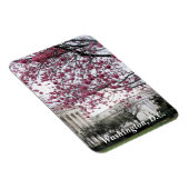 Cherry-bloesems. Washington, DC Magneet (Rechterzijde)