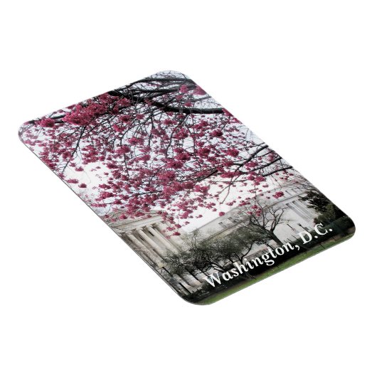 Cherry-bloesems. Washington, DC Magneet (Rechterzijde)