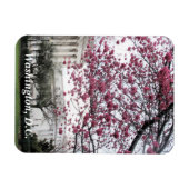 Cherry-bloesems. Washington, DC Magneet (Horizontaal)
