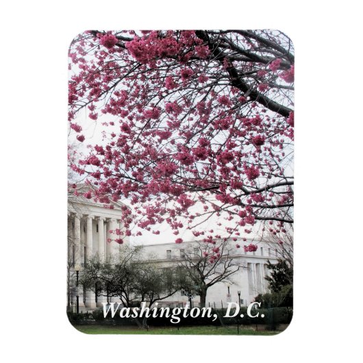 Cherry-bloesems. Washington, DC Magneet (Verticaal)
