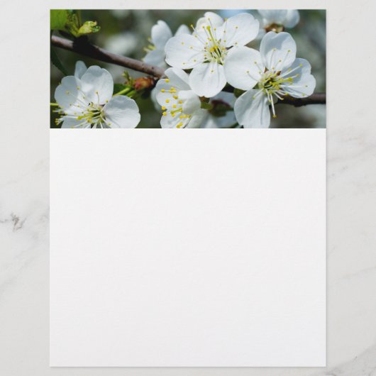 Cherry bloom flyer (Voorkant)