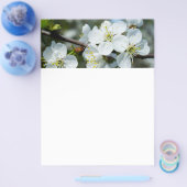 Cherry bloom flyer (Enkel)