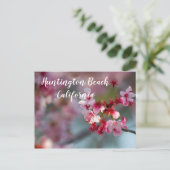 Cherry bloom in Huntington Beach, Californië Briefkaart (Staand voorkant)
