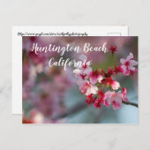 Cherry bloom in Huntington Beach, Californië Briefkaart (Voorkant / Achterkant)