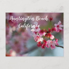 Cherry bloom in Huntington Beach, Californië Briefkaart
