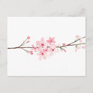 Cherry blosbloesbloemen sakura Japanse roze Briefkaart
