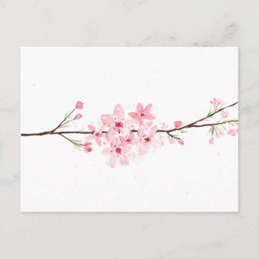 Cherry blosbloesbloemen sakura Japanse roze Briefkaart (Voorkant)