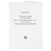 Cherry Blossom (Achterkant)