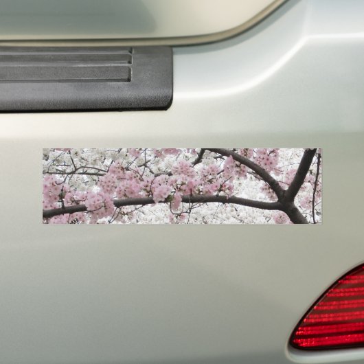 Cherry Blossom 10 Bumpersticker (Op auto)