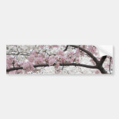 Cherry Blossom 10 Bumpersticker (Voorkant)