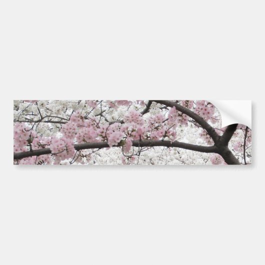 Cherry Blossom 10 Bumpersticker (Voorkant)
