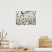 Cherry Blossom 12 Poster (Keuken)