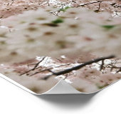 Cherry Blossom 1 Poster (Hoek)