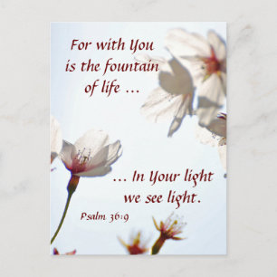 Cherry Blossom 2 Briefkaart