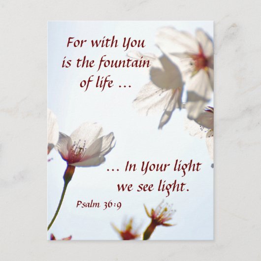 Cherry Blossom 2 Briefkaart (Voorkant)