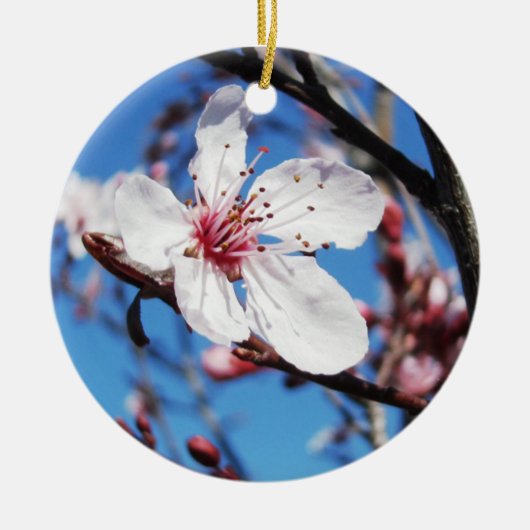 Cherry Blossom 2 Keramisch Ornament (Voorkant)