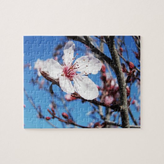 Cherry Blossom 2 Legpuzzel (Horizontaal)