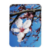 Cherry Blossom 2 Magneet (Verticaal)