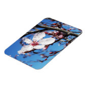 Cherry Blossom 2 Magneet (Linkerzijde)