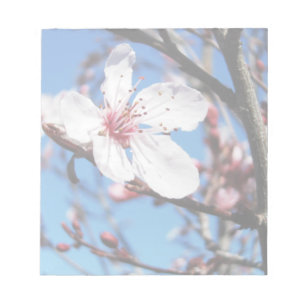 Cherry Blossom 2 Notitieblok