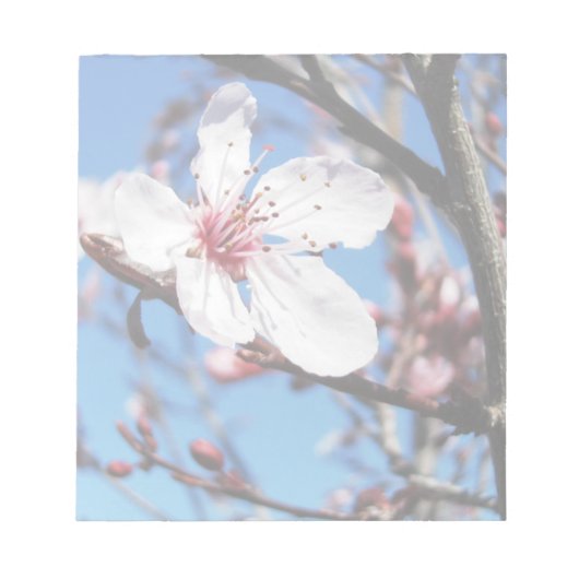 Cherry Blossom 2 Notitieblok (Voorkant)