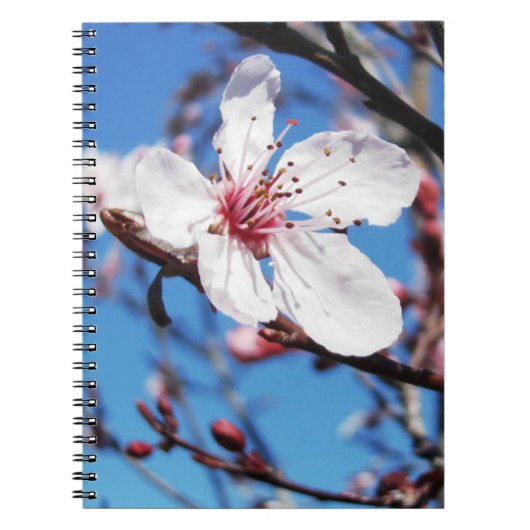 Cherry Blossom 2 Notitieboek (Voorkant)