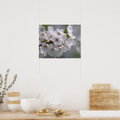 Cherry Blossom 2 Poster (Keuken)