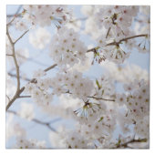 Cherry blossom 2 tegeltje (Voorkant)