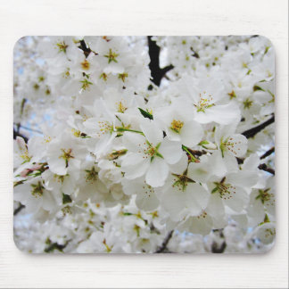 Cherry Blossom 3 Muismat