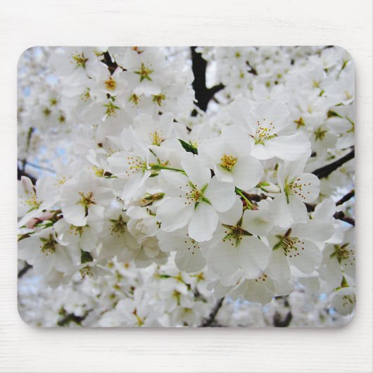 Cherry Blossom 3 Muismat (Voorkant)