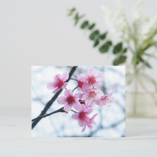 Cherry Blossom - A Briefkaart (Staand voorkant)